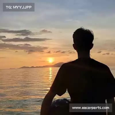 魏楚芳